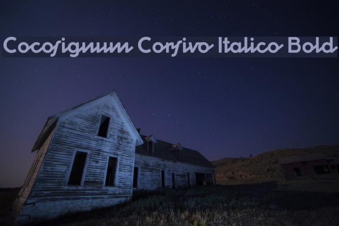 Cocosignum Corsivo Italico Bold Font examples