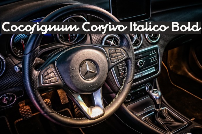 Cocosignum Corsivo Italico Bold Font examples