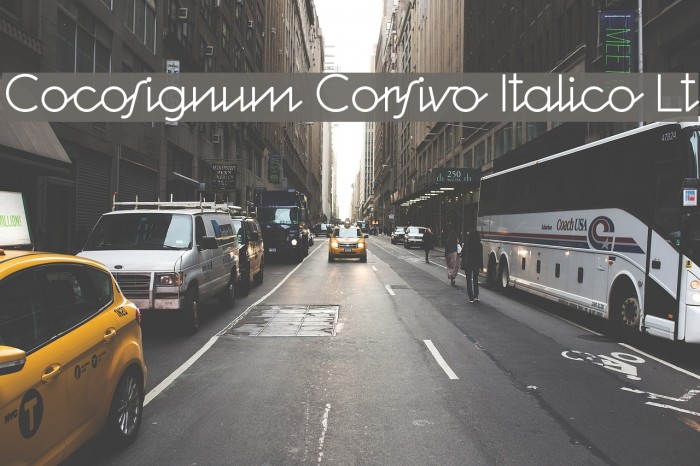 Cocosignum Corsivo Italico Lt Font examples