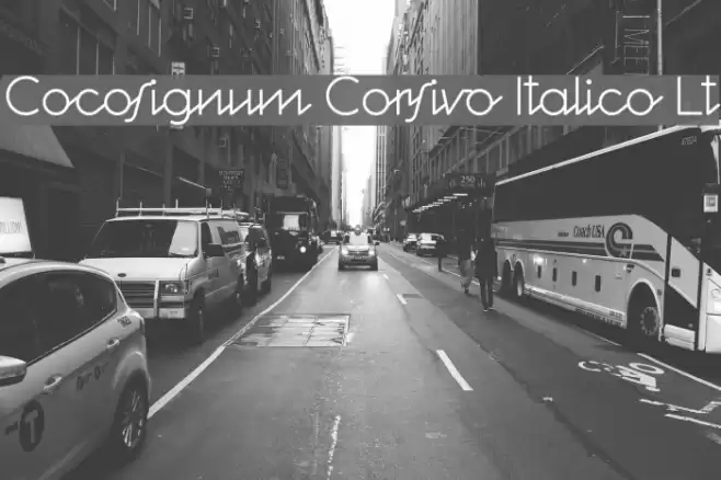 Cocosignum Corsivo Italico Lt Fonte examples