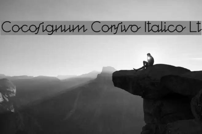 Cocosignum Corsivo Italico Lt Fonte examples
