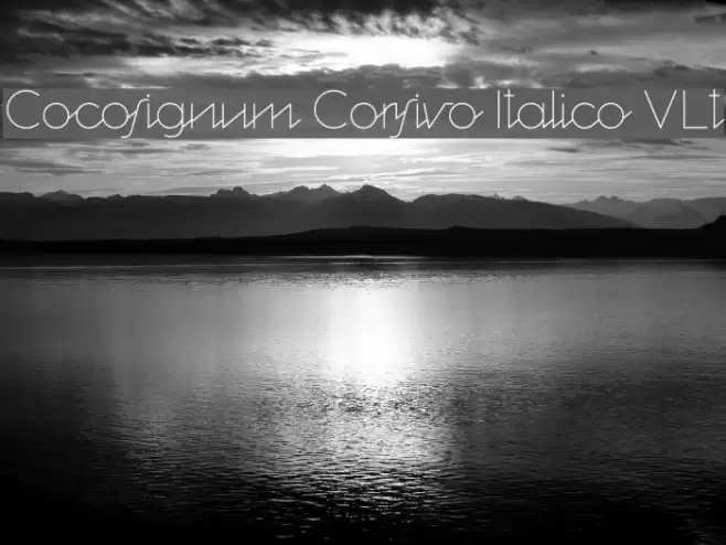 Cocosignum Corsivo Italico ULt Fonte examples