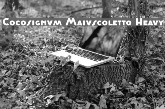 Cocosignum Maiuscoletto Heavy Font examples