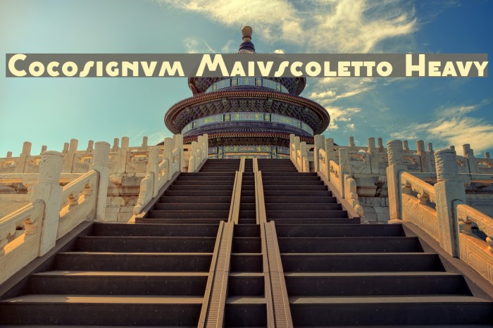 Cocosignum Maiuscoletto Heavy Example 3