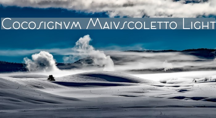 Cocosignum Maiuscoletto Light Font examples