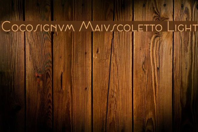 Cocosignum Maiuscoletto Light Example 2