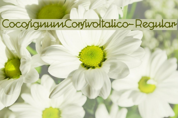 CocosignumCorsivoItalico-Regular Font examples
