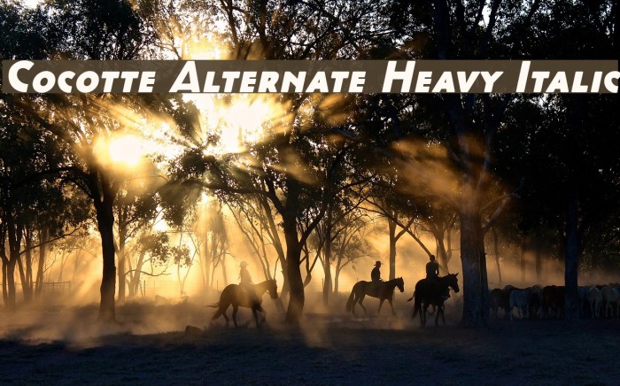 Cocotte Alternate Heavy Italic Example 1