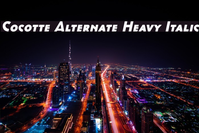 Cocotte Alternate Heavy Italic Example 3