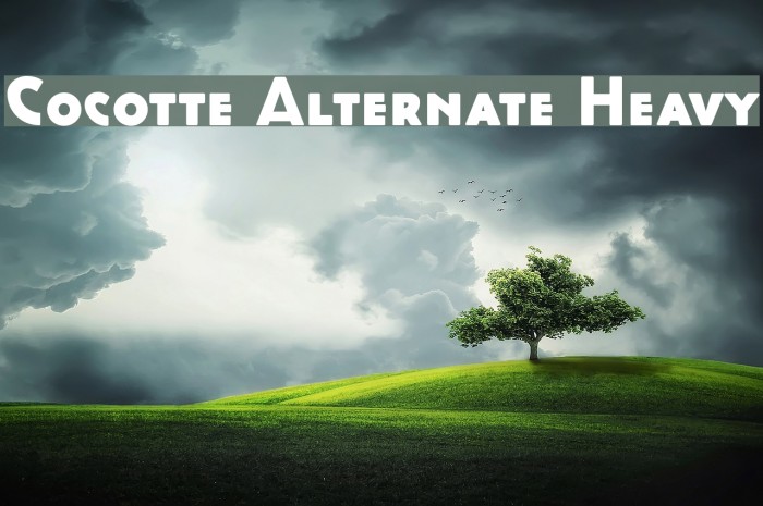 Cocotte Alternate Heavy Font examples