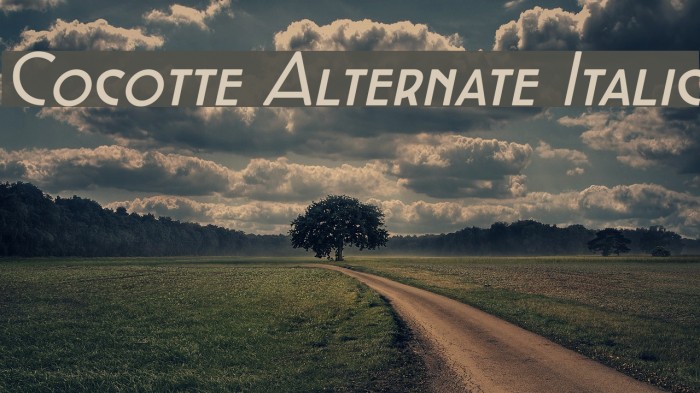 Cocotte Alternate Italic Font examples