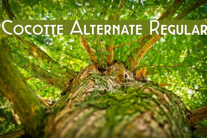 Cocotte Alternate Regular Font examples