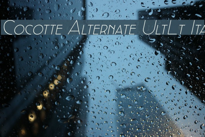 Cocotte Alternate UltLt Ita Font examples