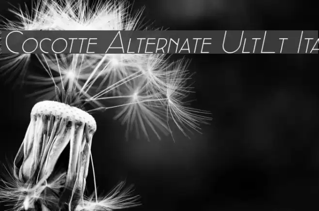 Cocotte Alternate UltLt Ita Font examples