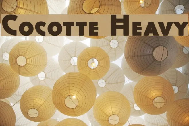 Cocotte Heavy Example 1