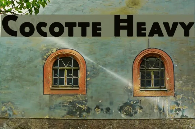 Cocotte Heavy Example 2
