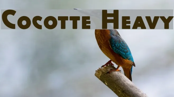 Cocotte Heavy Example 3