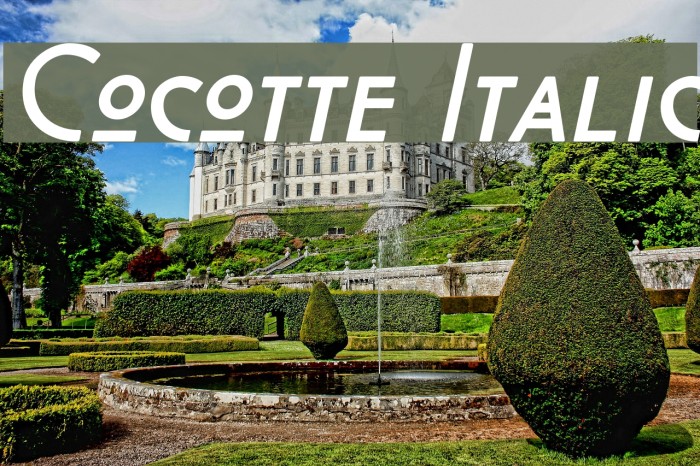 Cocotte Italic Font examples