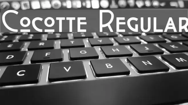 Cocotte Regular Schriftart examples