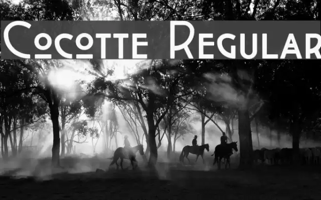 Cocotte Regular Schriftart examples