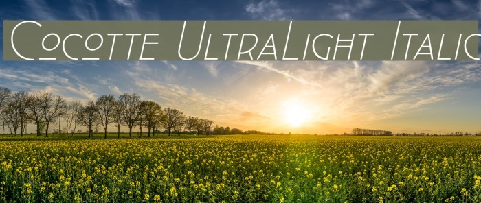 Cocotte UltraLight Italic Example 1