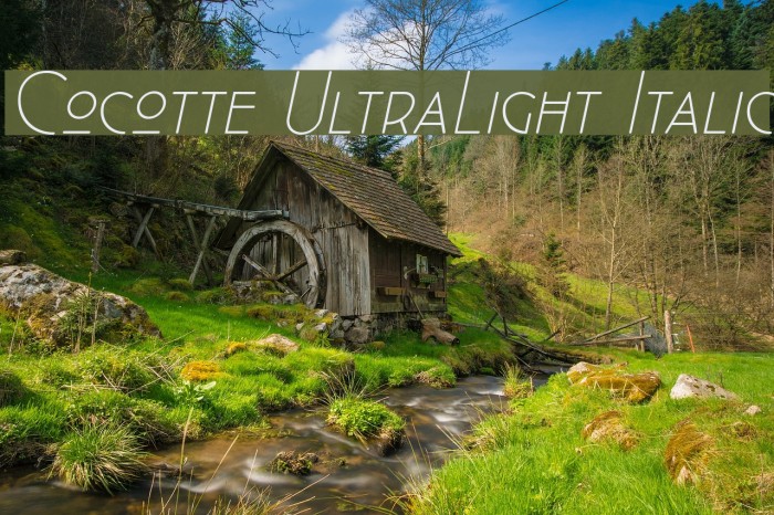 Cocotte UltraLight Italic Example 2