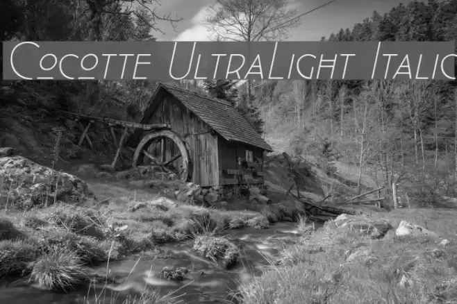 Cocotte UltraLight Italic Font examples