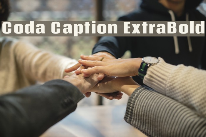 Coda Caption ExtraBold Font examples
