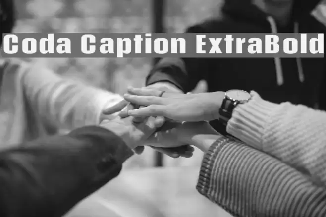 Coda Caption ExtraBold Fonte examples