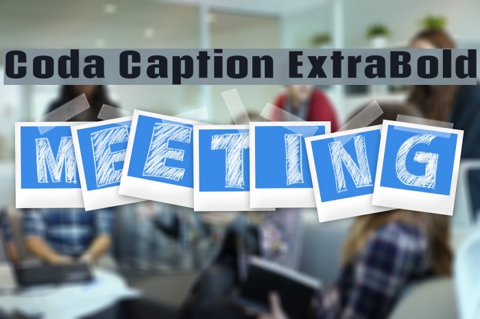 Coda Caption ExtraBold Font examples