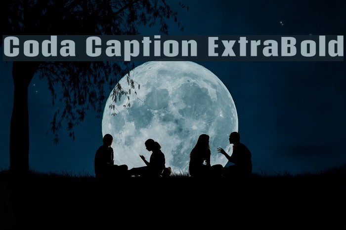 Coda Caption ExtraBold Font examples