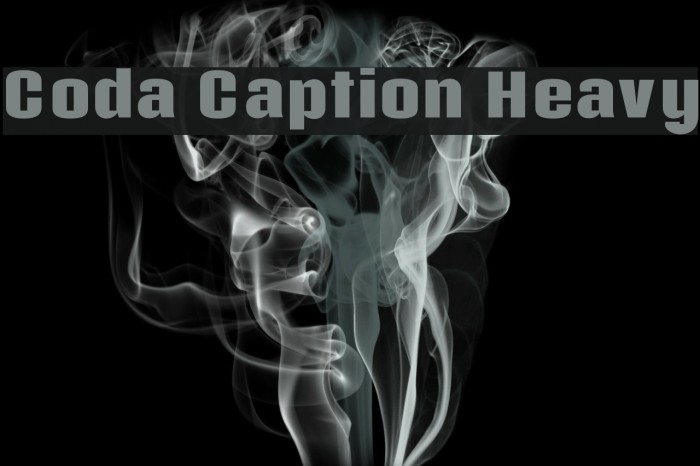 Coda Caption Heavy Font examples