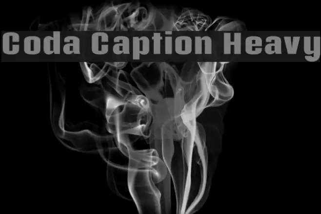 Coda Caption Heavy Font examples