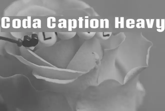 Coda Caption Heavy Font examples