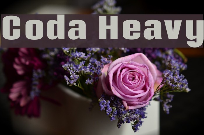 Coda Heavy Example 1
