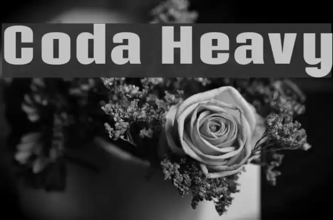Coda Heavy Font examples