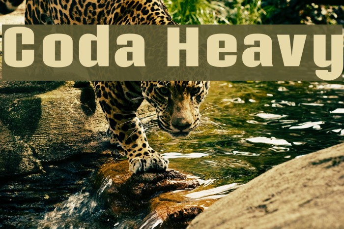 Coda Heavy Example 2