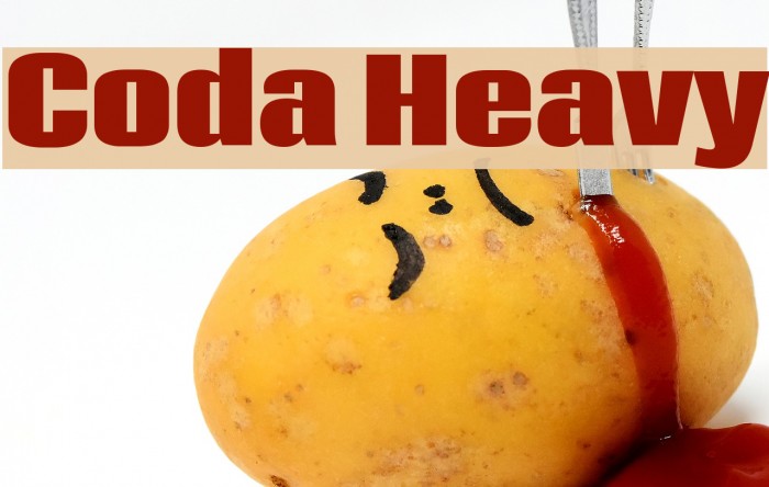 Coda Heavy Font examples