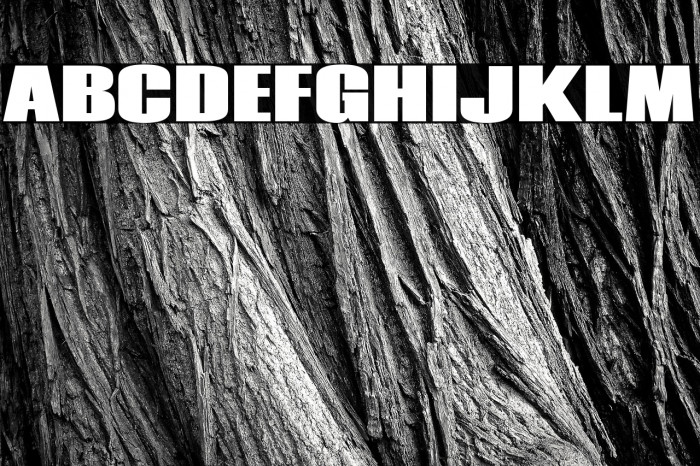 Coda Heavy Example 3