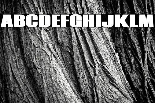 Coda Heavy Example 3