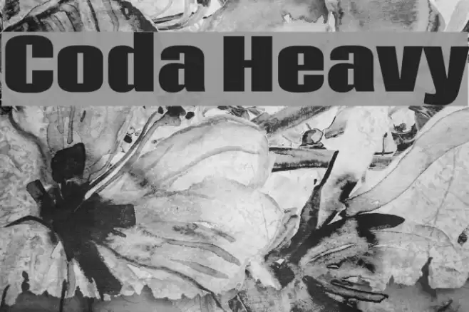 Coda Heavy Font examples