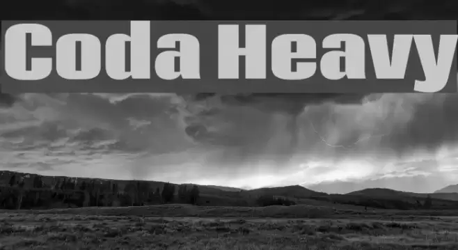 Coda Heavy Font examples