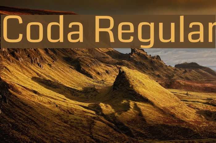 Coda Regular Font examples