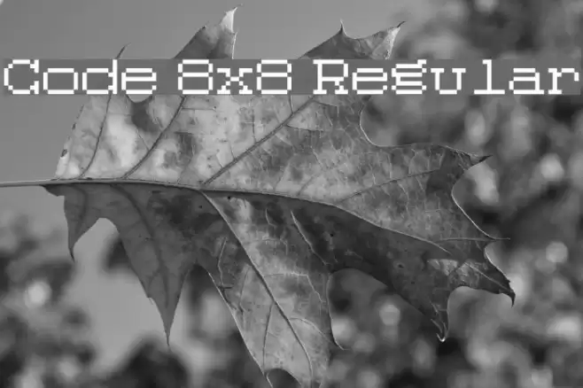 Code 8x8 Regular Font examples