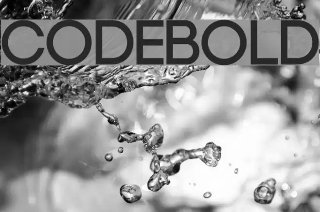 Code-Bold Font examples