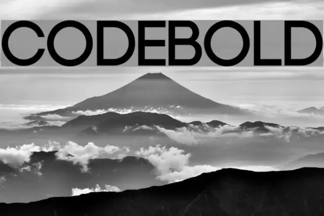 Code-Bold Font examples