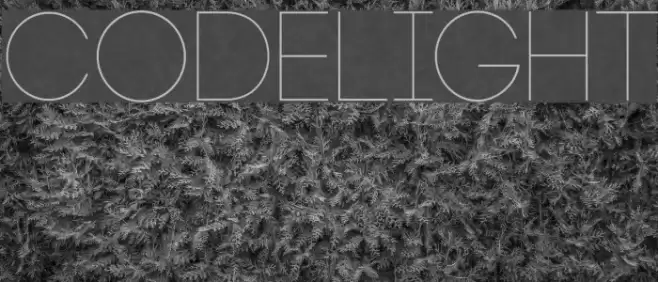 Code-Light Font examples