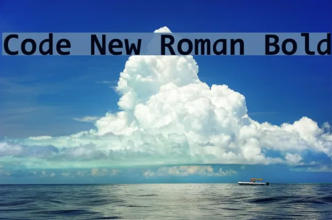 Code New Roman Bold Example 1