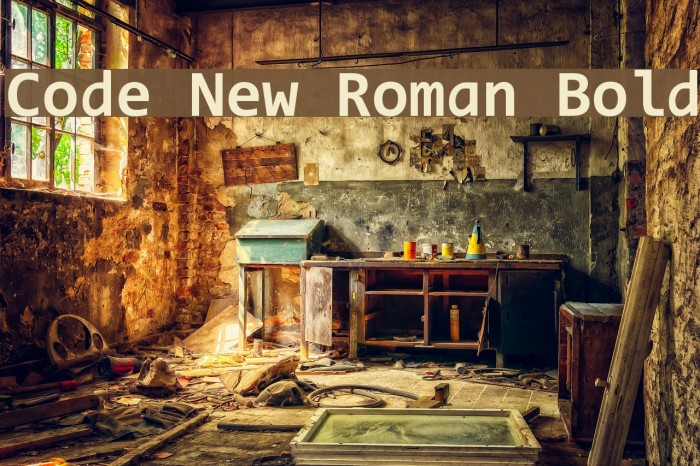 Code New Roman Bold Font examples