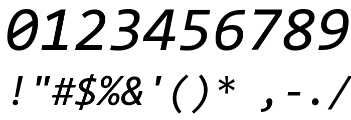Code New Roman Italic Font OTHER CHARS